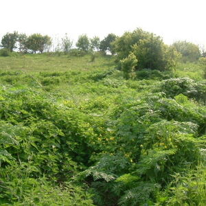 Regulated plot of land situated 80 km from the Black sea