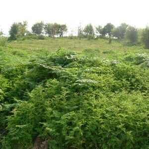 Regulated plot of land situated 80 km from the Black sea