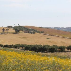 Land in Sicily - Cognata Cda Ciniè