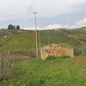 Land and Ruined house in Sicily - Barbiera Cda Castellaccio