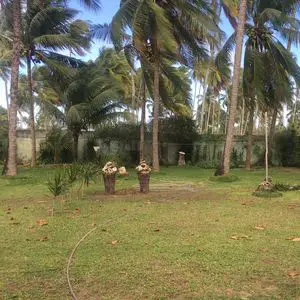 Land 50 meters from the beach
