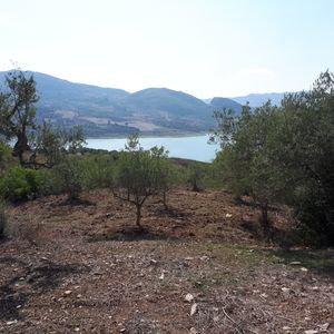 sh 625 land plot, Caccamo Sicily