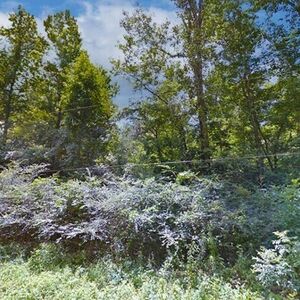 0.59 acres of raw land in Conroe, Texas