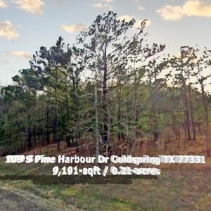 Investing in land? Start here. 0.21 Acre in Coldspring 