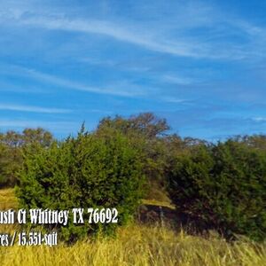 Rare opportunity to own a private lot in White Bluff
