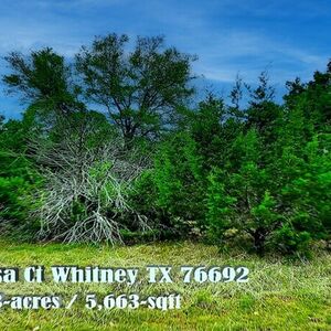 This White Bluff Property is a Gem - 1192 Mesa Ct Whitney TX