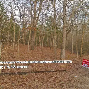 An Acre of Land for $99 Down - Murchison TX 75778 
