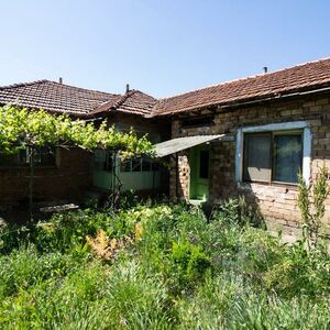 Nice 2 -bedroom house with house for guests near Svishtov