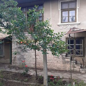 Two storey cozy House 5 minutes from Veliki Preslav 