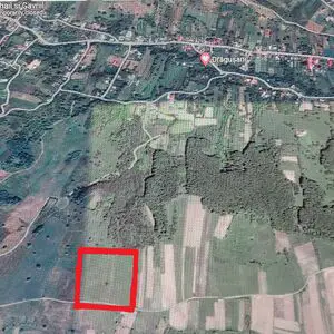 19,488 sqm Land for Sale Bacau Romania 