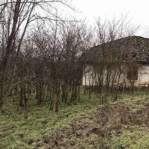 Bulgaria Property Finder (Property for Renovation in Silistr