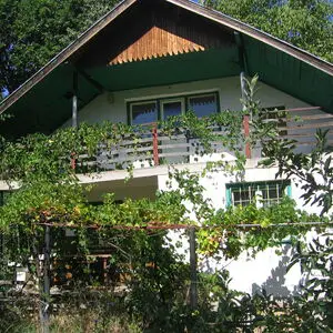 Villa with plot of land located in a forest near big city