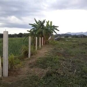 5,307 sq. meters farm lot for sale or long term lease