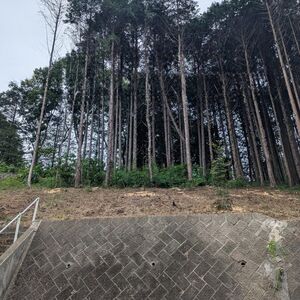Rare Land in Historic Samurai Town &ndash; Hot Spring Area