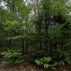 0.41 Dream Home Corner Lot Close To Crown & Diamond Lakes - 