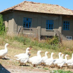 Jewel House For Sale In Konak Near Popovo And Veliko Tarnovo