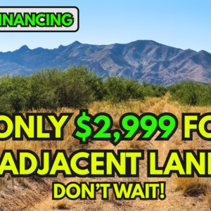 $50 for TWO Adjoining Lots in Arizona? You Read That Right