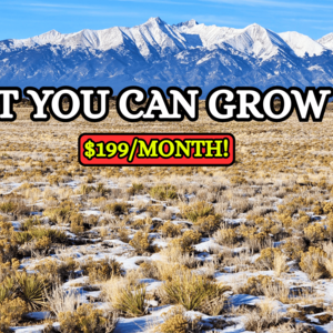Give the Gift of Land This Christmas - $199/Mo.