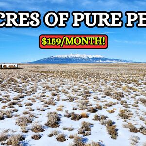 Start your Weekends Embracing Nature on 4.8 ac in CO.