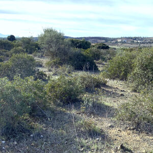 Agricultural land Maidana, Serdiana, Sardinia