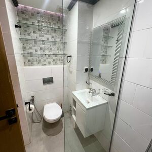 Luxuriously furnished apartment with balcony 