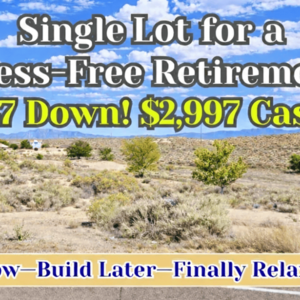 Rare Chance to Buy BUILDABLE Lot in Valencia for $47/Down