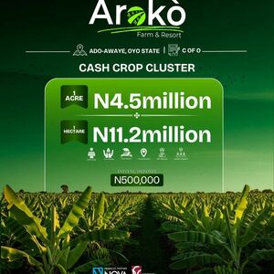 &Agrave;rok&ograve; Farm and Resort