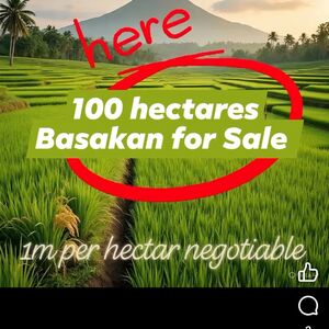 Farm lot in Agusan del sur 