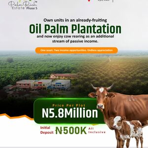 Palm Rich Estate Phase 5