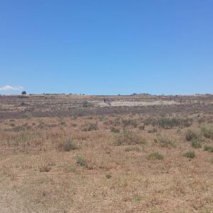 Phillipstown -PLOT FOR SALE &ndash; R90 000 CASH ONLY &ndash; EXCLUDING 
