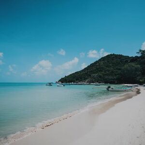 Golden Opportunity! Beachfront Resort for Sale on Koh Phanga