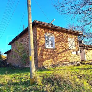 House with garden in village & mineral water in the Danub