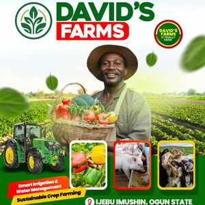 David's Farm