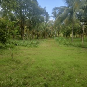 land house farm and more