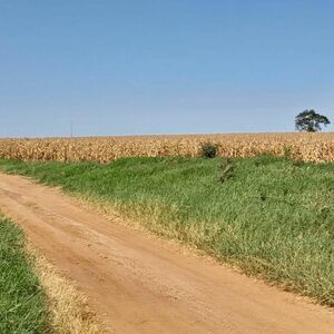 10,019-has Agricultural Ranch Department of Caaguaz&uacute;