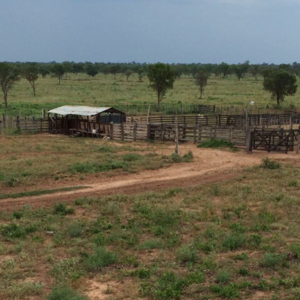 farm of 11,263 has. northern Chaco Paraguay