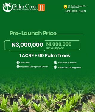 1 Acre 60 Palm Trees 