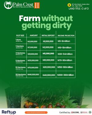 Palm Crest Projections