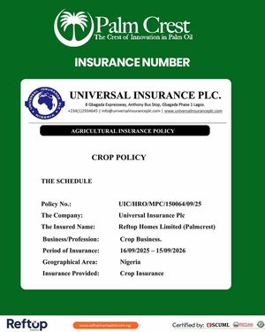 Palm Crest Insurance