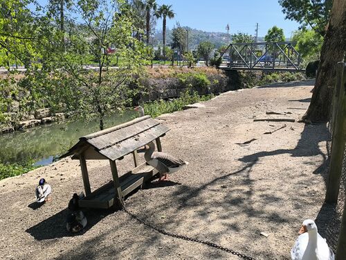 public garden