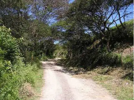 Main road to plots access
