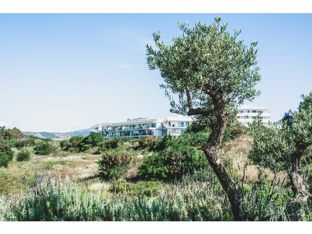 urbanización - entorno