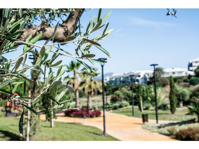 urbanización - entorno