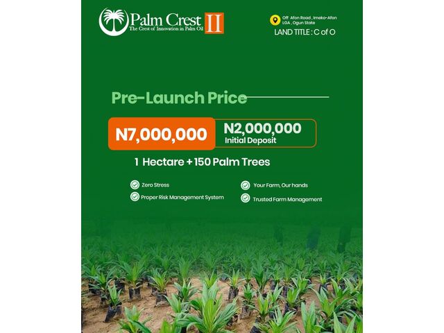 1 Hectare 150 Palm Trees