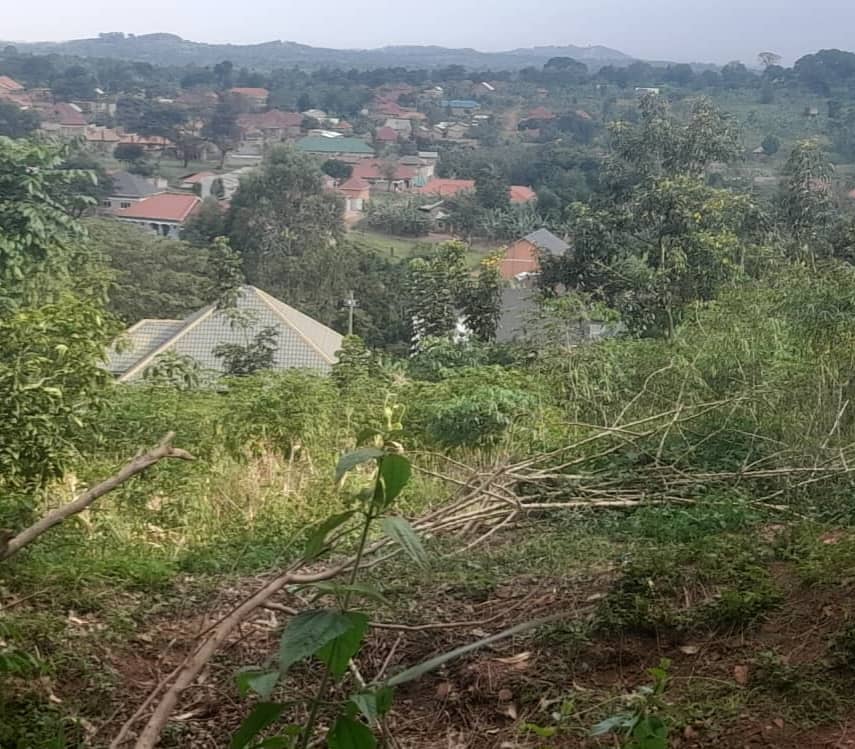 Titled Plots of land for sale on the Hill