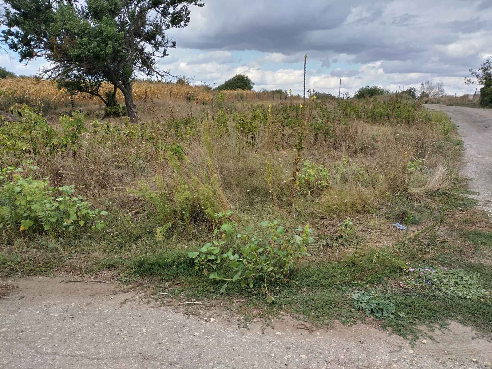 Plot for residential building, 10km to Dobrich city