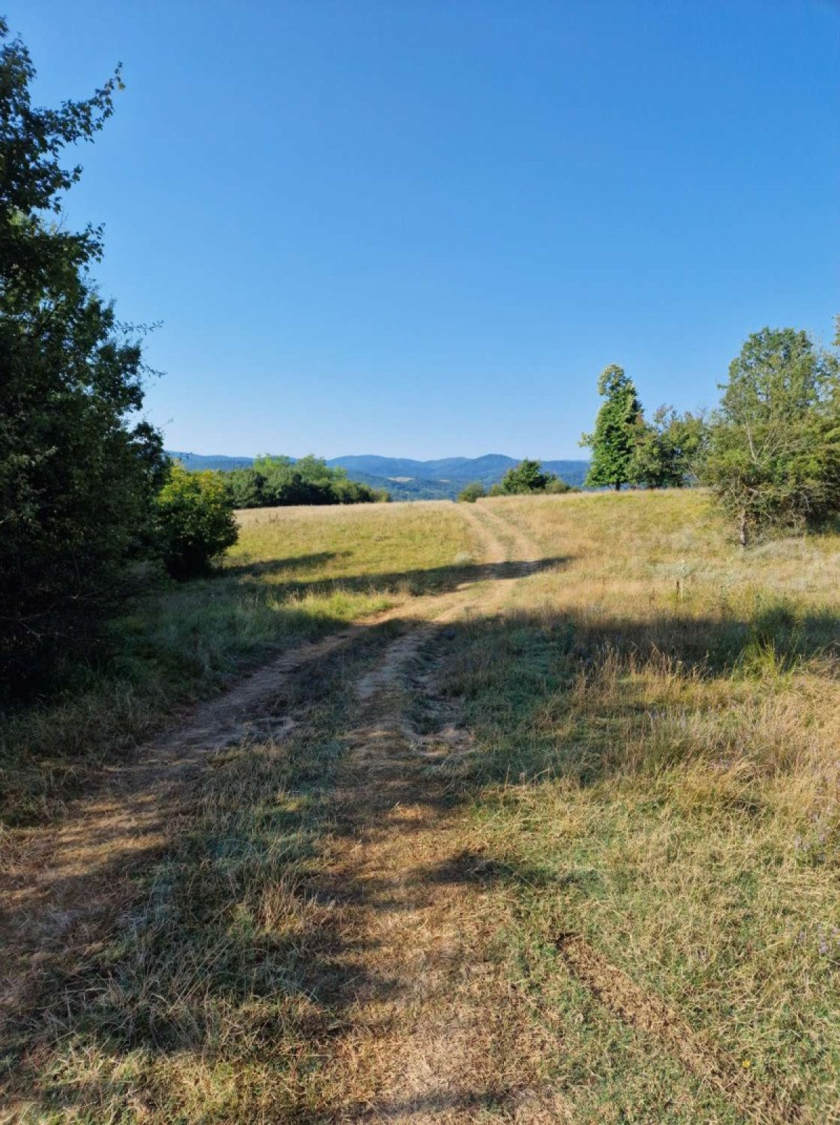 Plot of 3000m2, near Elena Town, Veliko Tarnovo province