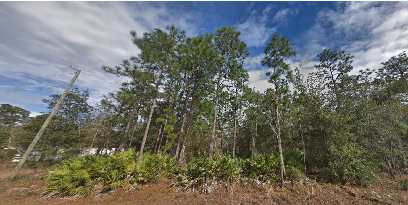 Want Affordable Land? Own 0.22 Acres in FL for Just $175
