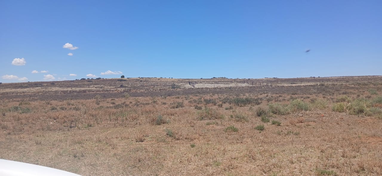 Phillipstown -PLOT FOR SALE – R90 000 CASH ONLY – EXCLUDING