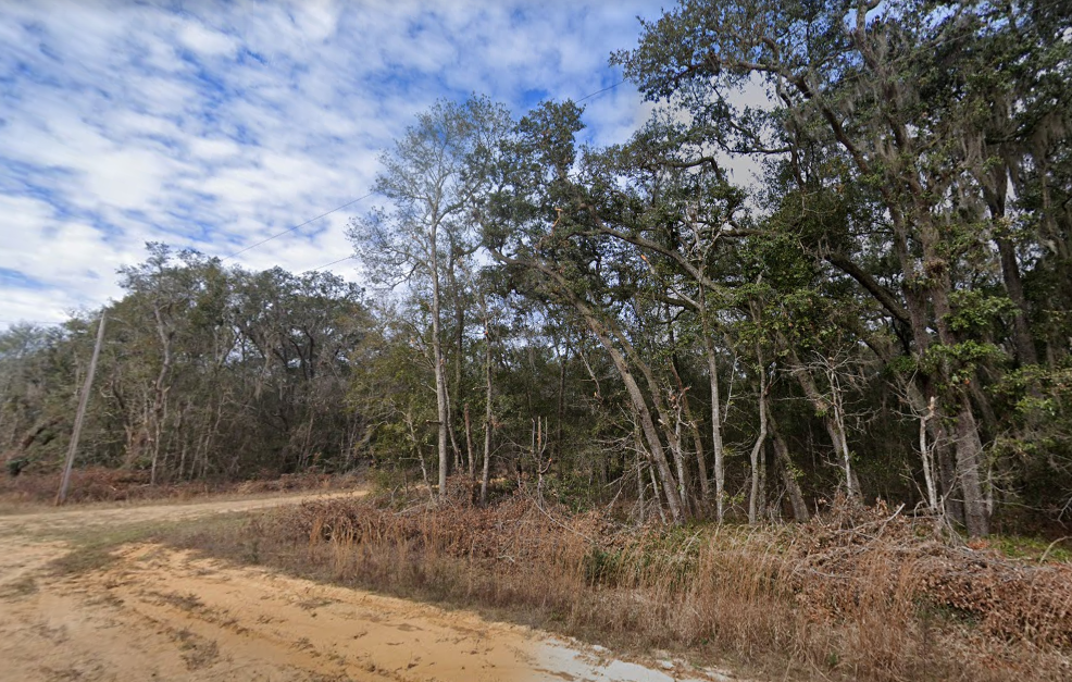 0.23 Acre Corner FLORIDA Land For Just $149 Down? NO WAY!